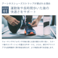 rlasp01-2
